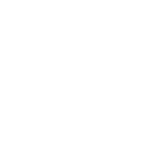 Solvencia económica